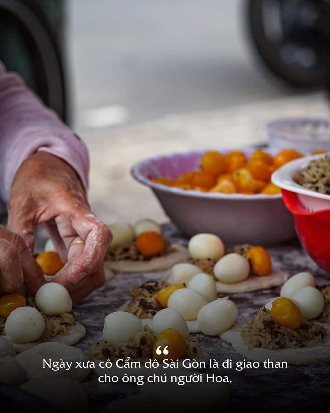 134465215 464034464613030 7931021352363388000 n