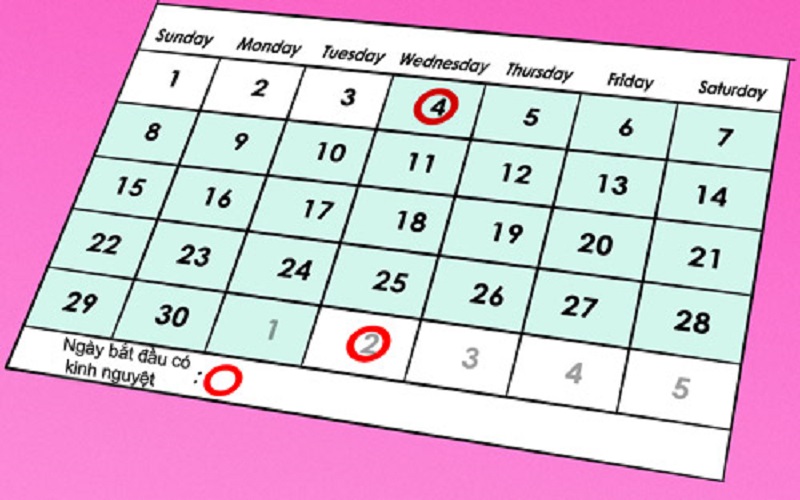 20200605_chu-ky-kinh-nguyet chu kỳ kinh nguyệt