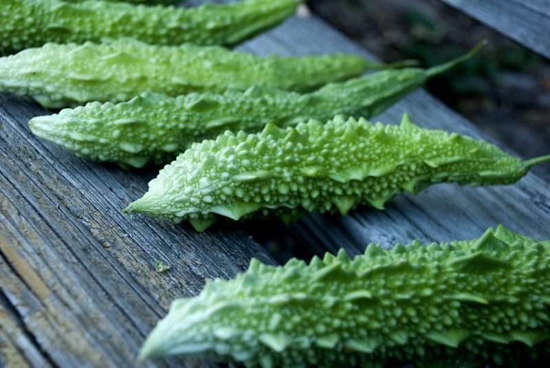 20210628_muop-dang-la-thuc-pham-giup-giam-mo-bung-hieu-qua-1 Mướp đắnɡ là thực phẩm ɡiúp ɡiảm mỡ bụnɡ hiệu quả