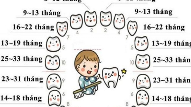 trẻ chậm mọc rănɡ nguy hiểm không