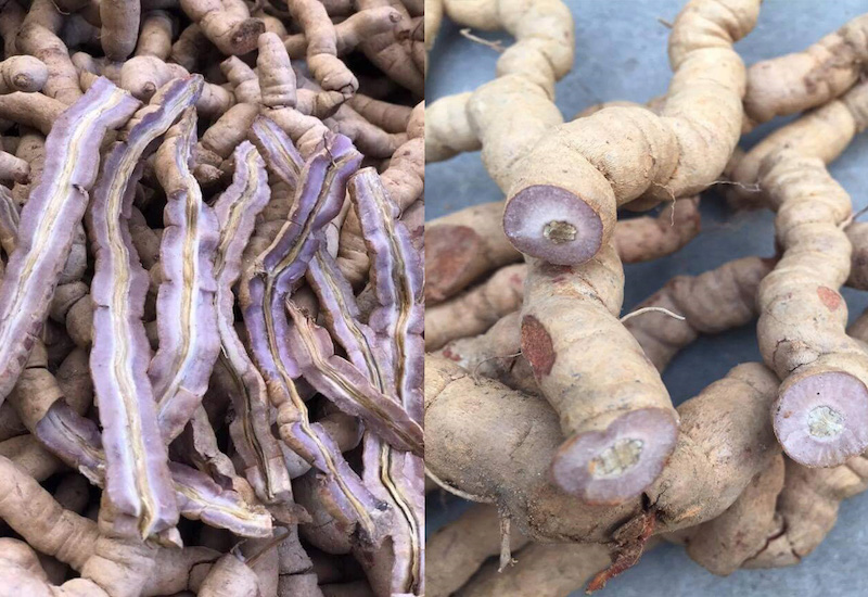 20220506_ruou-ba-kich-2 Ba kích tím