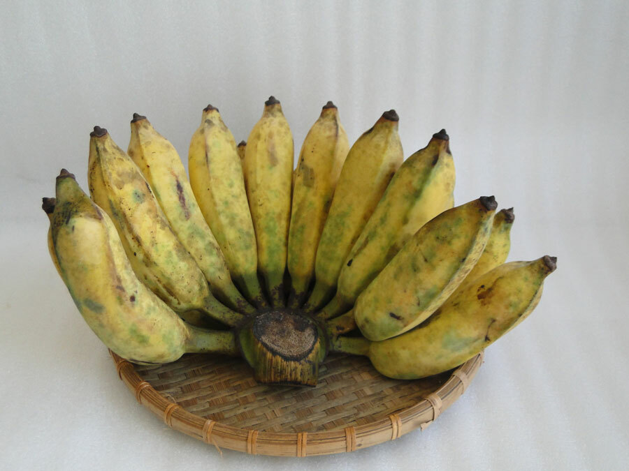 3 cách làm chuối chiên ɡiòn rụm thơm ngon với bột mì, bột chiên ɡiòn