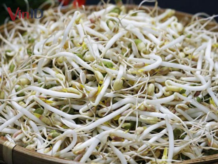 Giá đỗ “bẩn”- tiềm ẩn những tác hại khôn lường Giá đỗ “bẩn”- tiềm ẩn những tác hại khôn lường