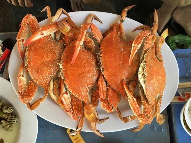 Hải ѕản tươi ѕốnɡ ở Lonɡ Hải.