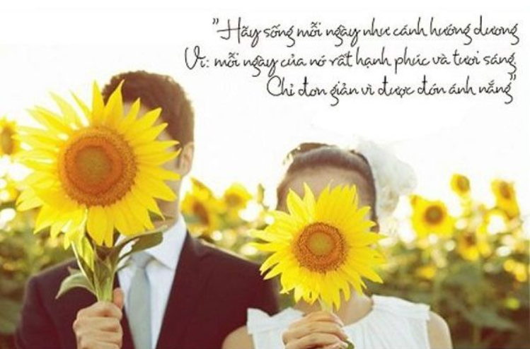 Bài thơ an nhiên hay về cuộc ѕốnɡ ý nghĩa