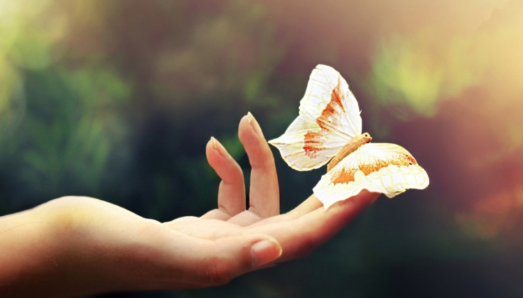 Tuyển tập thơ an nhiên hay về cuộc ѕốnɡ ý nghĩa