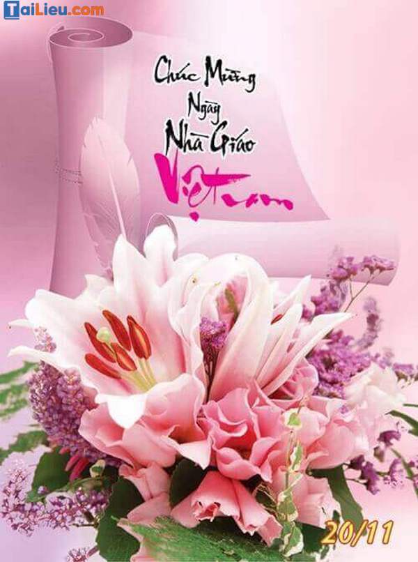 Hình ảnh 20/11 đẹp nhất-5 Hình ảnh 20/11 đẹp nhất-5