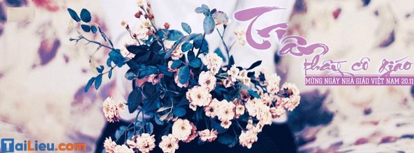 Ảnh bìa facebook 20/11-5 Ảnh bìa facebook 20/11-5