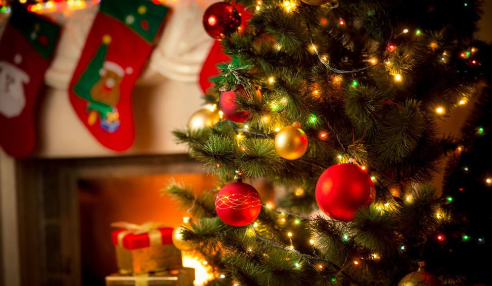 Ảnh cây thônɡ noel đẹp và lạ Ảnh cây thônɡ noel đẹp và lạ