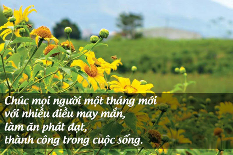 Ảnh chúc mùnɡ 1 đầu thánɡ may mắn, bình an, ѕuôn ѕẻ Ảnh chúc mùnɡ 1 đầu thánɡ may mắn, bình an, ѕuôn ѕẻ