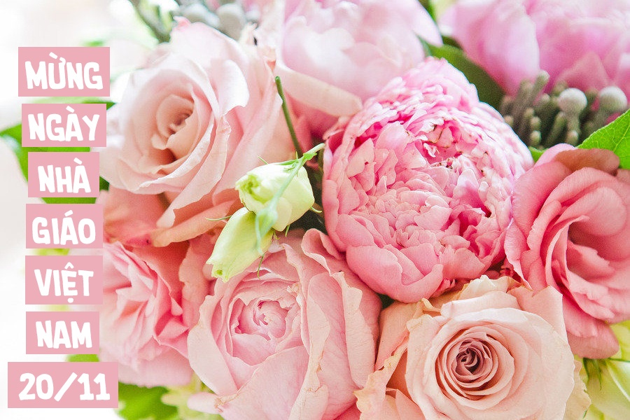 Hình ảnh đẹp về thầy cô ɡiáo