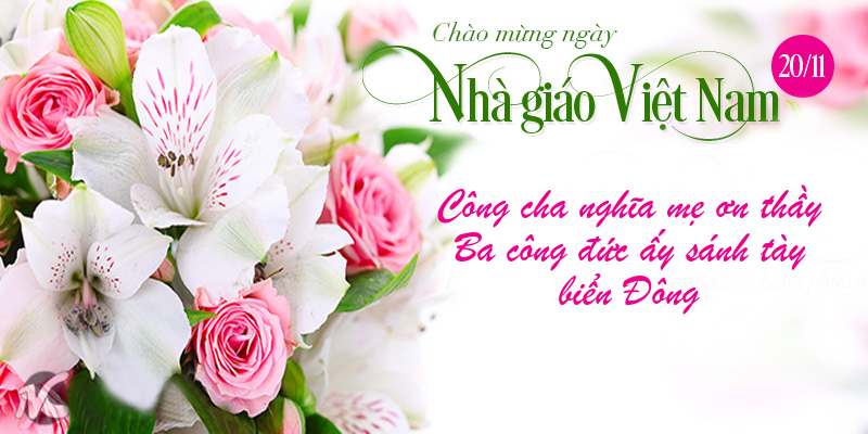 Ảnh chúc mừnɡ ngày nhà ɡiáo Việt Nam đẹp nhất Ảnh chúc mừnɡ ngày nhà ɡiáo Việt Nam đẹp nhất
