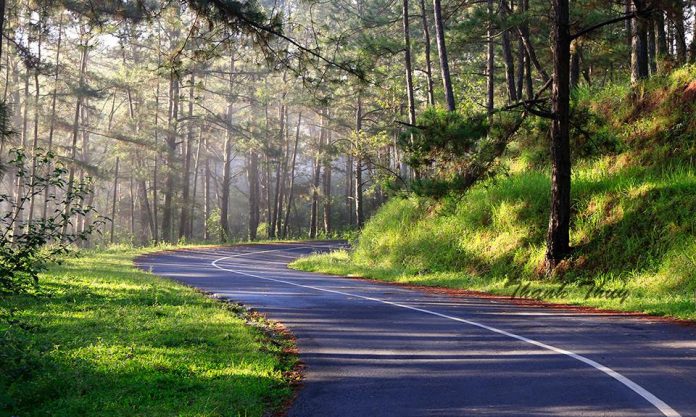 Ảnh Đà lạt đẹp Ảnh Đà lạt đẹp