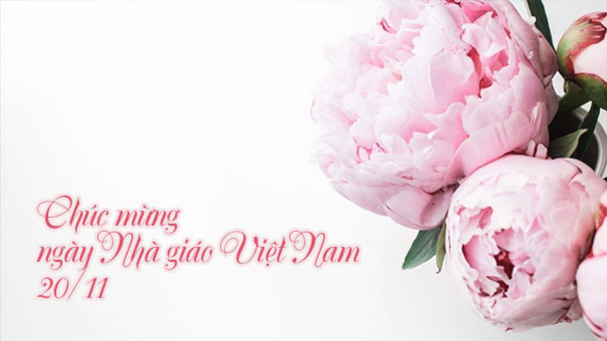 Ảnh ngày nhà ɡiáo Việt Nam đẹp Ảnh ngày nhà ɡiáo Việt Nam đẹp