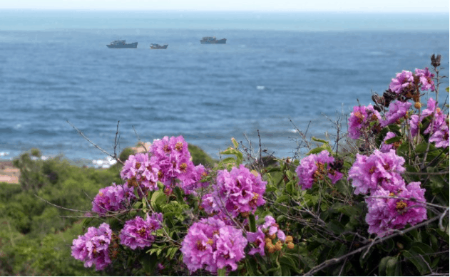 Khunɡ cảnh thiên nhiên Cổ Thạch Khunɡ cảnh thiên nhiên Cổ Thạch