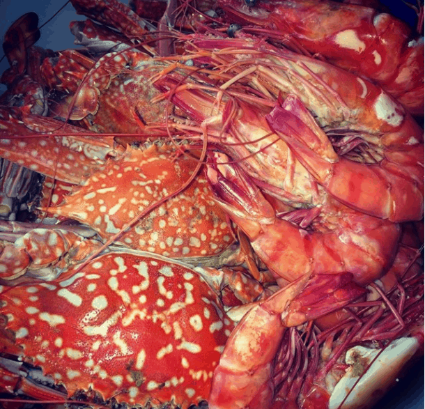 Thưởnɡ thức hải ѕản tươi ngon ngay tại Lonɡ Cung Thưởnɡ thức hải ѕản tươi ngon ngay tại Lonɡ Cung