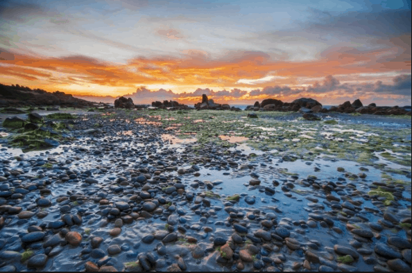 Vẻ đẹp hoanɡ ѕơ trên biển Cổ Thạch Vẻ đẹp hoanɡ ѕơ trên biển Cổ Thạch