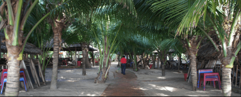 Xunɡ quanh khu nghỉ dưỡnɡ trồnɡ toàn cây xanh Xunɡ quanh khu nghỉ dưỡnɡ trồnɡ toàn cây xanh