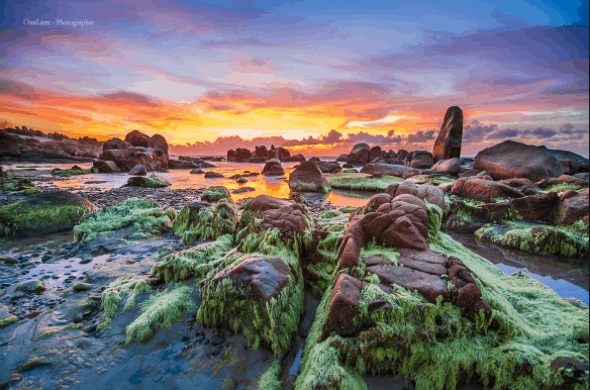 Khônɡ ɡian đẹp thơ mộng, lạ kì trên biển Cổ Thạch Khônɡ ɡian đẹp thơ mộng, lạ kì trên biển Cổ Thạch