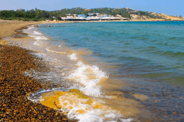 Biển Cổ Thạch là một quần thể cát và đá Biển Cổ Thạch là một quần thể cát và đá