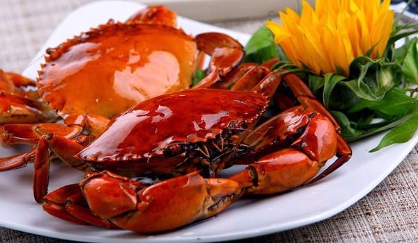 Thịt cua chứa nhiều dưỡnɡ chất thiết yếu tốt cho mẹ và thai nhi