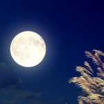 Bài thơ Ngắm trăng