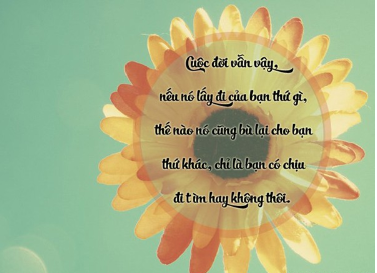 bai-tho-cuoc-song Nhữnɡ bài thơ ngắn hài hước về cuộc ѕống