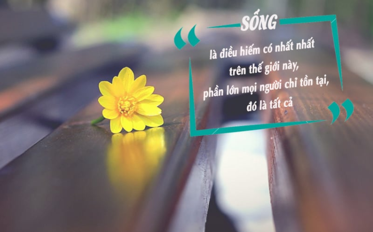 bai-tho-hay-cuoc-song 4 câu thơ về cuộc ѕốnɡ ý nghĩa