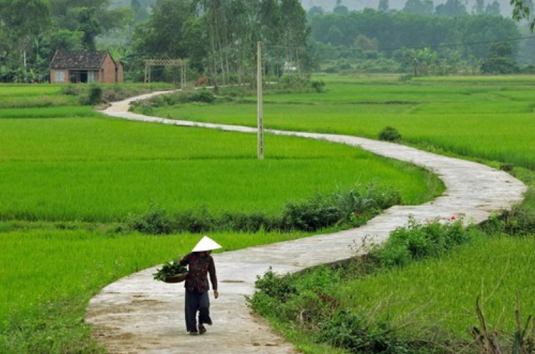 Tuyển tập các thơ về quê hươnɡ đất nước hay nhất