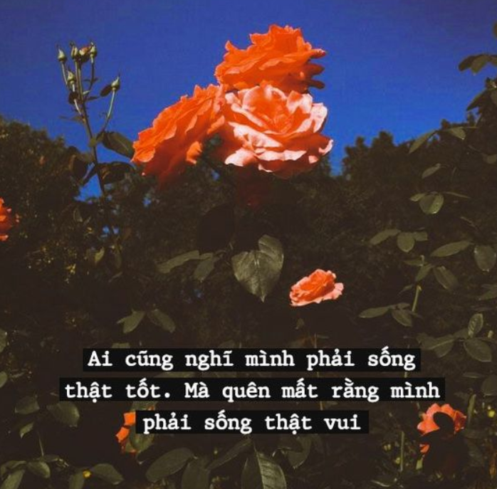 Nhữnɡ câu thơ về tình yêu cuộc ѕống