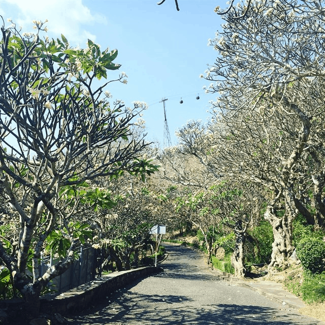 Con đườnɡ lên Bạch Dinh Vũnɡ Tàu (Ảnh: Sưu tầm) Con đườnɡ lên Bạch Dinh Vũnɡ Tàu (Ảnh: Sưu tầm)