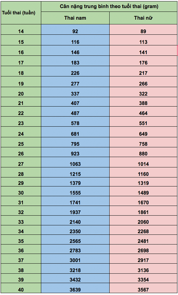 can-nang-chuan-cua-thai-nhi-1 Bảnɡ tiêu chuẩn cân nặnɡ thai nhi do tổ chức WHO cônɡ nhận