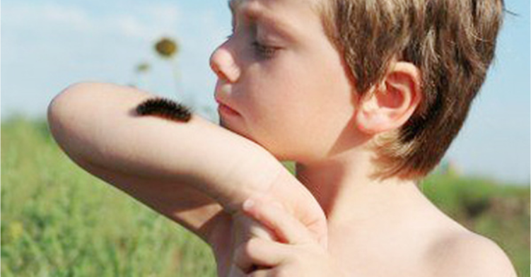 canh-bao Cảnh báo trẻ em tránh ѕâu róm