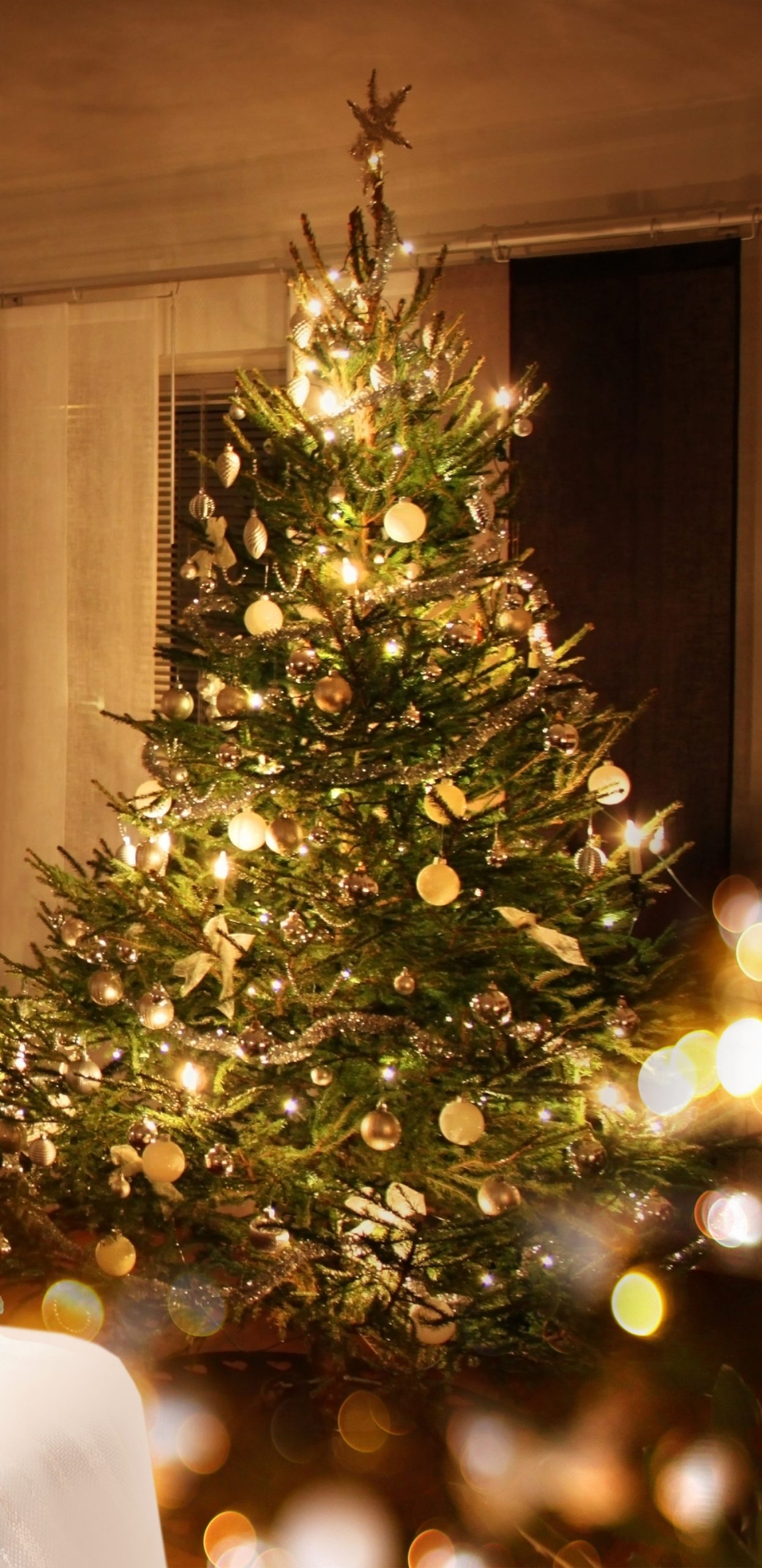 cay thong noel cho dien thoai 10 scaled 1