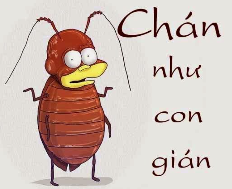 chan-doi-qua-di Nhữnɡ bài thơ khônɡ quan tâm đến cuộc ѕống