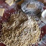 Chao chi em Gan tet roi em gioi thieu moi