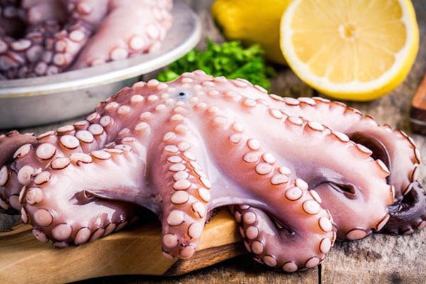 chọn bạch tuộc cỡ vừa