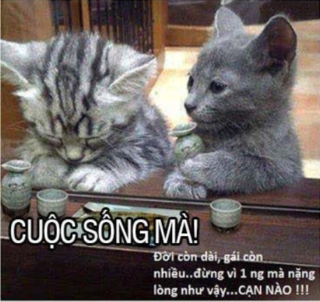chum-tho-chan-doi Chùm thơ hài hước nhàm chán khiến bạn cười mãi