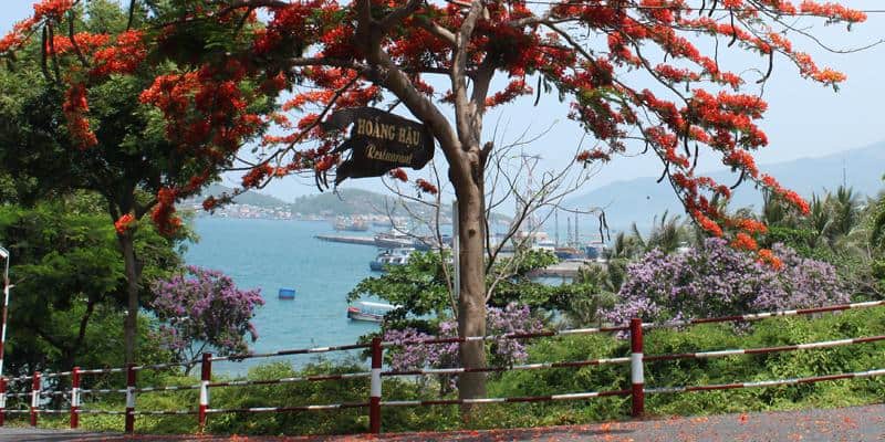 Con đường nên thơ dẫn đến bãi tắm Hoàng Hậu Quy Nhơn Con đường nên thơ dẫn đến bãi tắm Hoàng Hậu Quy Nhơn