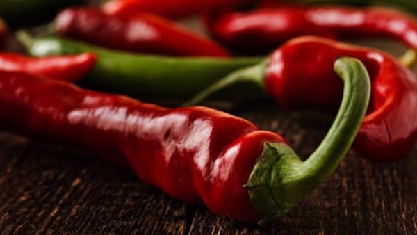 cong-dung-cua-tuong-ot-ot-la-gi