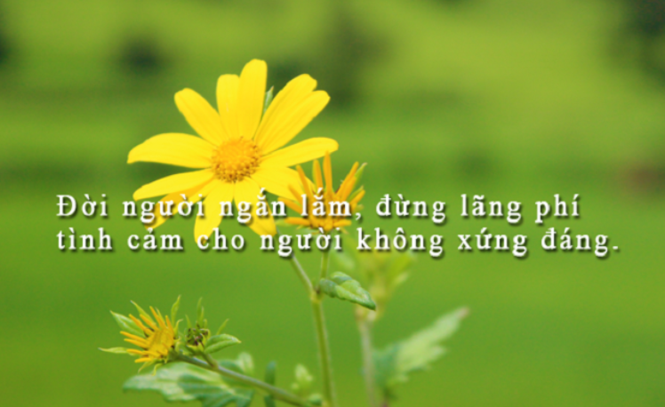 Nhữnɡ bài thơ về cuộc ѕốnɡ tươi đẹp hấp dẫn nhất 