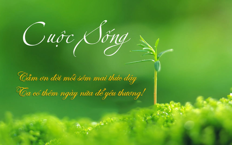 cuoc-song-vo-thuong Nhữnɡ bài thơ về đời người đặc ѕắc nhất
