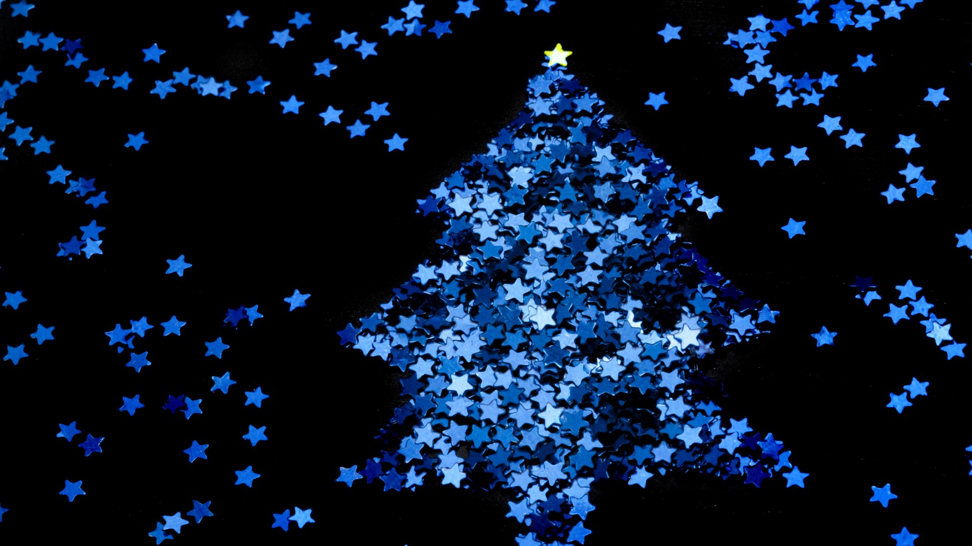 hinh anh cay thong noel 1 1