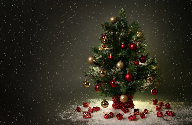 hinh-anh-cay-thong-noel (3)