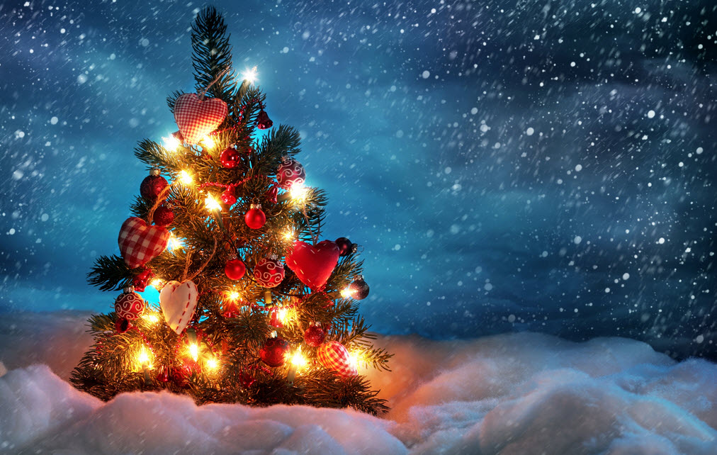 hinh-anh-cay-thong-noel (8)