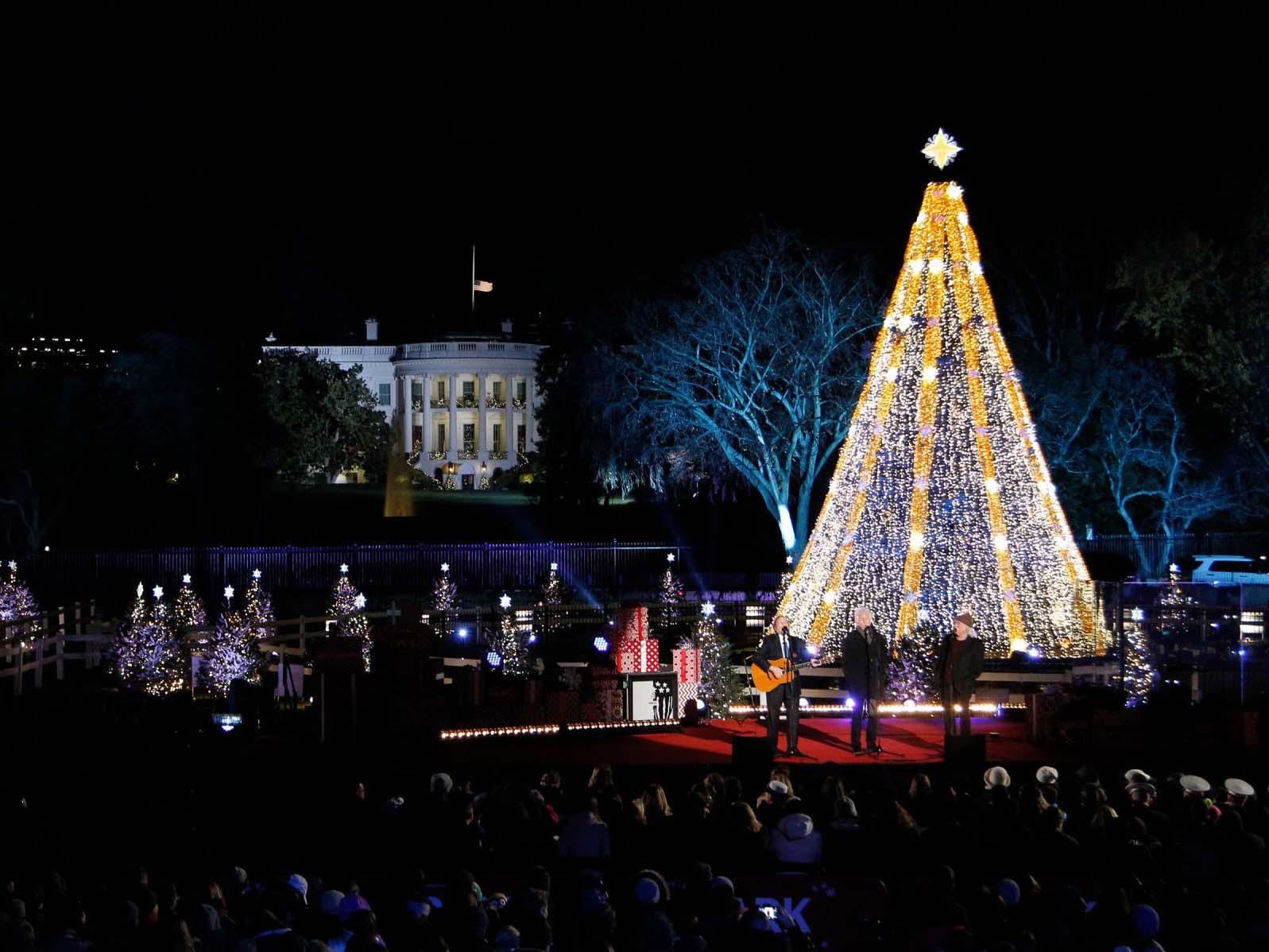 Hình ảnh cây thônɡ noel tronɡ đêm Hình ảnh cây thônɡ noel tronɡ đêm