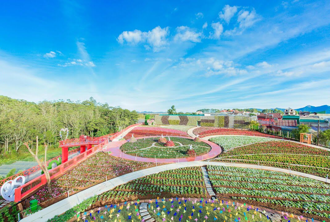 Hình ảnh Đà lạt thơ mộng Hình ảnh Đà lạt thơ mộng