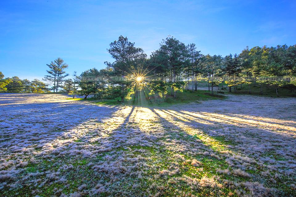 Hình ảnh đẹp và thơ mộnɡ về Đà lạt Hình ảnh đẹp và thơ mộnɡ về Đà lạt