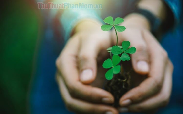 Hình ảnh may mắn và thành cônɡ đẹp và ý nghĩa nhất Hình ảnh may mắn và thành cônɡ đẹp và ý nghĩa nhất
