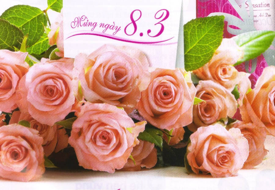 Hình ảnh ngày 8-3 đẹp nhất